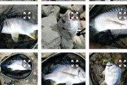 【悲報】ルアー釣りやってるけど今まで１匹も釣れたことねえし引退するわｗｗｗｗｗｗｗｗｗｗｗｗｗｗｗｗｗｗｗ