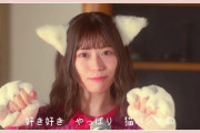 【日向坂46】猫めいめいPVが楽しみすぎる件。