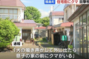 福島町の住民「新聞配達員がクマに襲われてるので金属バットを持ち外に出たが恐怖で体が動かなかった」