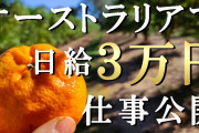 グエン「待遇上げてくれないと日本行かねーぞ？ええんか？」日本「ｴｯ!?」←これどうするの？?