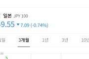 韓国人「日本の円安が進み過ぎた結果」「○○解禁が経済変化のキッカケでしょう」