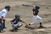 高校野球より少年野球