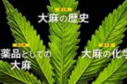 Apple「AppStoreの制限を緩和しました」　大麻業者「!!(ｼｭﾊﾞﾊﾞﾊﾞ」