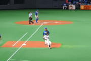 【球場】ワイ、埼玉から札幌ドームに行く 1試合目【画像】 part 3