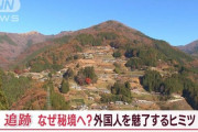 【徳島】祖谷渓谷に外国人旅行客が殺到！
