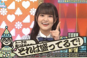 【日向坂46】『ひなあい』盛ってるで企画がそろそろ見たいんだが・・・