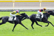 ダービー2着馬マスカレードボール、ルメールで天皇賞(秋)へ参戦