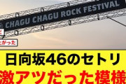 【神セトリ】チャグロックに参戦したおひさま、テンションぶち上がりの模様【日向坂46】
