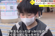 【悲報】子供「(マックが値上げして)お年玉すぐ無くなっちゃう」