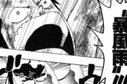 【悲報】ワンピースさん、これを超える戦闘描写がいまだない模様ｗｗｗ