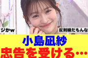 【櫻坂46】小島凪紗これについて忠告を受けている模様…