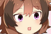 【ウマ娘】ずっと環境最上位にいるのにアモアイゲーって揶揄されないのが不思議なのだ。
