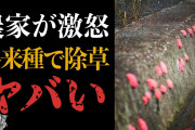 脱サラ農家さん、とんでもない除草方法をお披露目して批判される