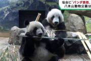 【速報】日本の田舎同士でパンダ争奪戦が始まるwwwwwwwwwwwwwwwwwwwwwwwwwww