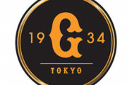 ワイ巨人ファン、来シーズンまでなんGは見ないことを決意する