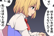 【東方】アリスはくそ美人なのにこういうのも似合うの何故だろう？