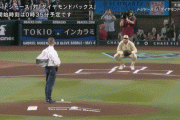 ドジャース戦、ハチ駆除業者が始球式ｗｗｗｗｗｗｗｗｗｗｗｗｗｗ