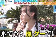 【乃木坂46】見取り図・リリー『弓木奈於でさえ顔グーでいく』