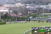 【無観客開催】なんとか肉眼で競馬見る方法ないの？