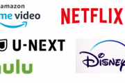 「Netflix！U-NEXT！Hulu！ディズニープラス！プライムビデオ！」←勿論全部入ってるよな？