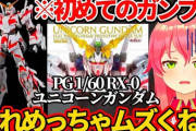 初ガンプラ挑戦で『PG 1/60 RX-0 ユニコーンガンダム』とは、みこち行けるのか