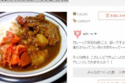 【朗報】韓国人「日本人さん、遂にキムチ＆カレーの組み合わせが最高である事に気付いてしまう‥」キムチカレーが日本で大人気に！　韓国の反応
