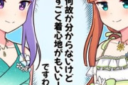【ウマ娘】サイゲのこの姿勢、嫌いじゃなかったぜ…