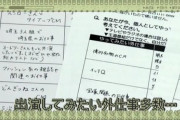 【日向坂46】ひなあいで映ったメンバーの外仕事アンケート、なかなか興味深いことが書かれている模様