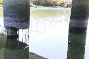 【動画】中国、干ばつで橋の橋脚が水面から露出、えっ！橋脚のコンクリ溶けてますけど！