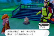 【朗報】ポケモンDLCのサブクエストが凄い