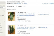 【驚愕】雑草バブルの熱狂　葉っぱ植物に280万円！　観葉植物ブーム…