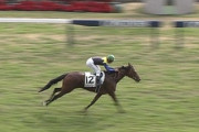 【競馬】ハナレイムーン単勝100万の大量投票