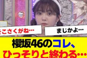 【櫻坂46】運営よりコレが終了との発表が…【#そこ曲がったら櫻坂 #三期生 #何歳の頃に戻りたいのか? #ミーグリ #オタの反応集  】