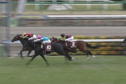 【競馬】ぶっちゃけ斤量なんてレースに何の影響もないんじゃね？