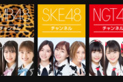 VR SQUARE「SKE48チャンネル」2022年1月31日でサービス終了