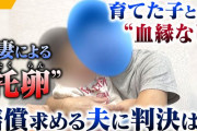 【悲報】托卵された男、元妻を訴訟し330万円の賠償命令wwwwwwwwww