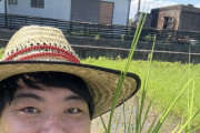 【悲報】へずまりゅう、他人の田んぼに侵入して稲を引っこ抜いた疑惑で炎上。流石にそんなことしないだろ？
