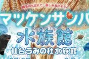 仙台うみの杜水族館が松平健とのコラボイベント「マツケンサンバ水族館」を開催！