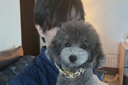 宇野昌磨、愛犬の誕生日お祝いショット公開に「宇野家の皆様とずっとずっと楽しく幸せでいられますように」の声