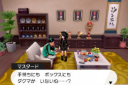 【ポケモン剣盾】ダクマを逃してDLCのストーリーを進めた結果ｗｗｗ　BADENDやんけ・・・