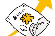 【政府】コメ高騰の原因調査が終了 小泉農相「流通多様化が原因」