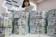 こんな甘ったれの国はほっときゃいいんだよ　〜　【朝鮮日報】韓国の外貨準備、こんなに浪費してもよいのか