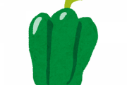ピーマンをおいしいと思って食べてる奴ってこの世に存在するんか？？？　