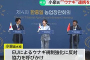 【速報】小泉進次郎、日本国民が最も重要視する『食』で世界で最も不潔な中国・韓国と手を握り合う