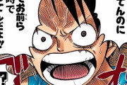 ワンピースのルフィ｢何が日常だ！平日は仕事休日は自粛が日常！？目ぇ覚ませ！お前全員ただの奴隷だ！｣