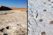【世界衝撃ニュース】サウジアラビアで12万年前の人間の足跡が発見される