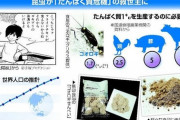【悲報】昆虫食、なんかゴリ押しされ始める・・・NTT東日本が昆虫食事業参入へ