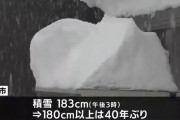 青森市183cm←これ人力で除雪出来るんか？