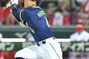 【丸山決勝打】ヤクルトファン集合【50勝到達】6/30