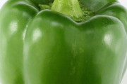 ピーマン「栄養満点です。苦いです。色んな料理に合います」